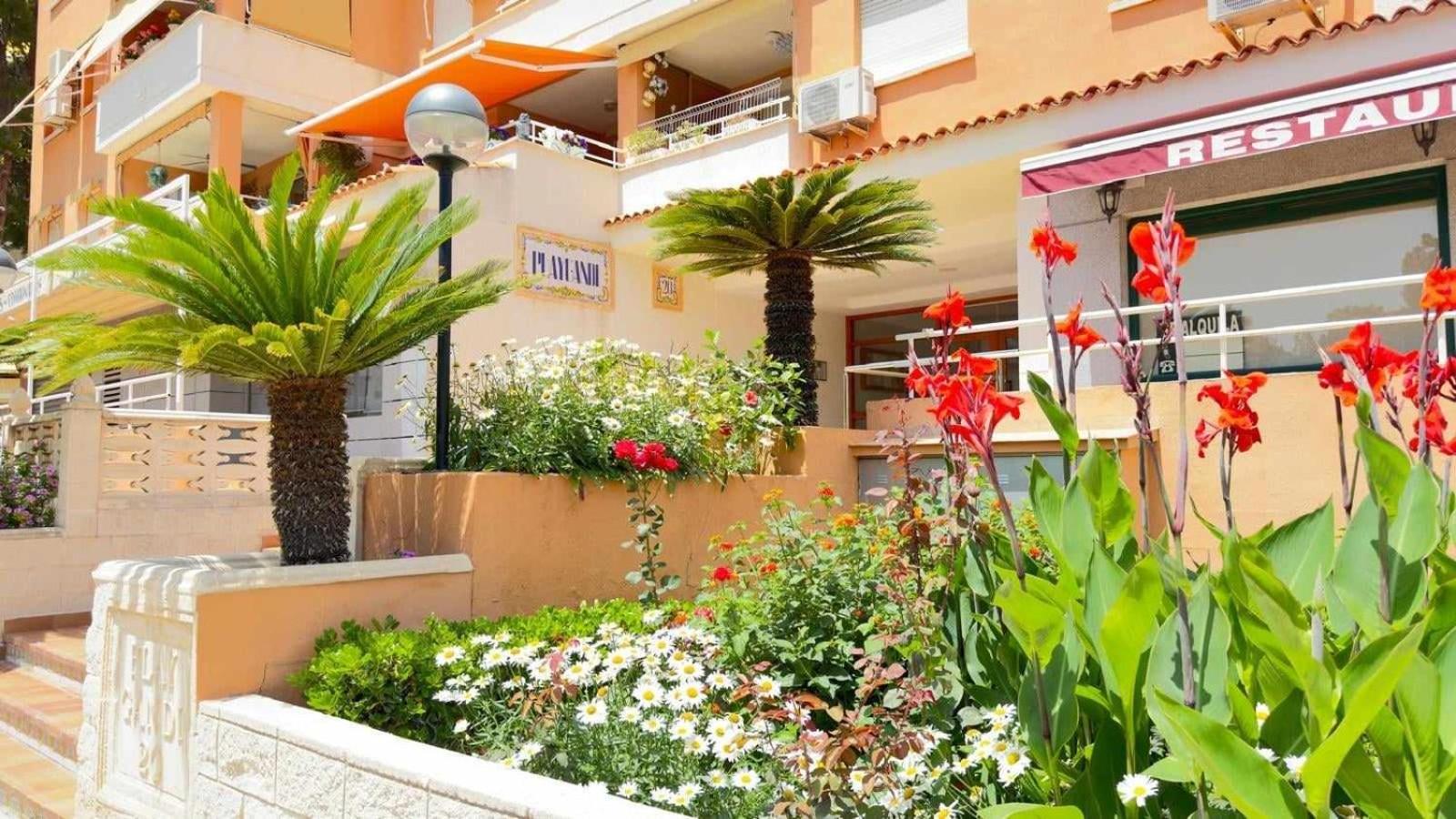 Apartamento Paradise Solo Familias Gandia Zewnętrze zdjęcie